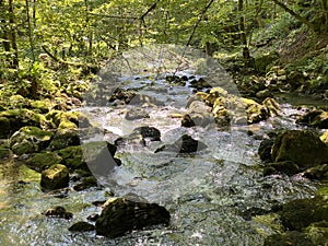 Small mountain river GerovÃÂica, Zamost - Region of Gorski kotar, Croatia / Mala gorska rijeka GerovÃÂica photo